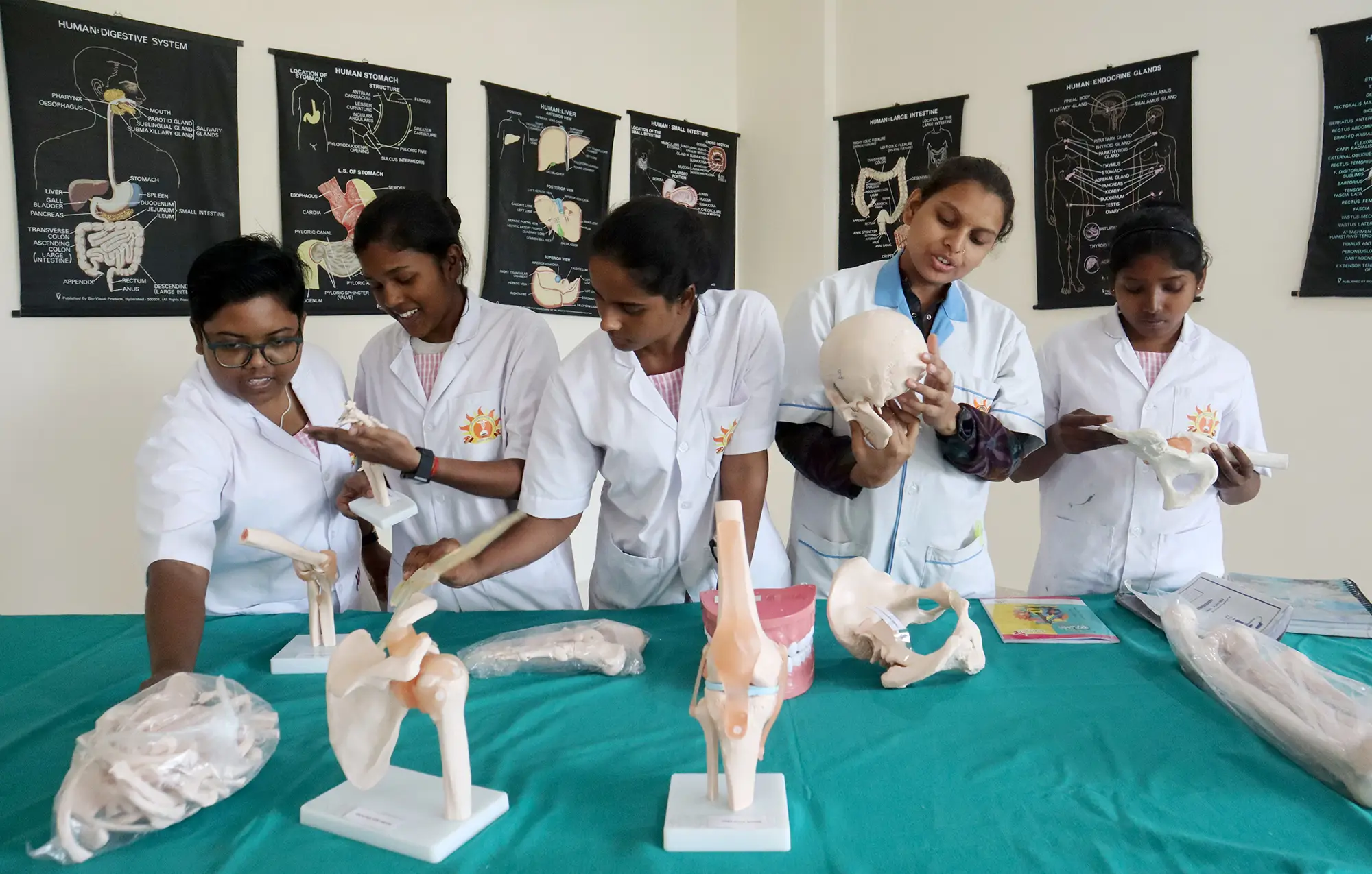 Pre-Clinical Science Lab